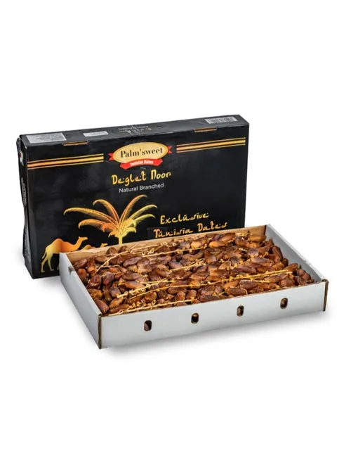 Kurma Palm Sweet Deglet Nour (Branch) dari Tunisia